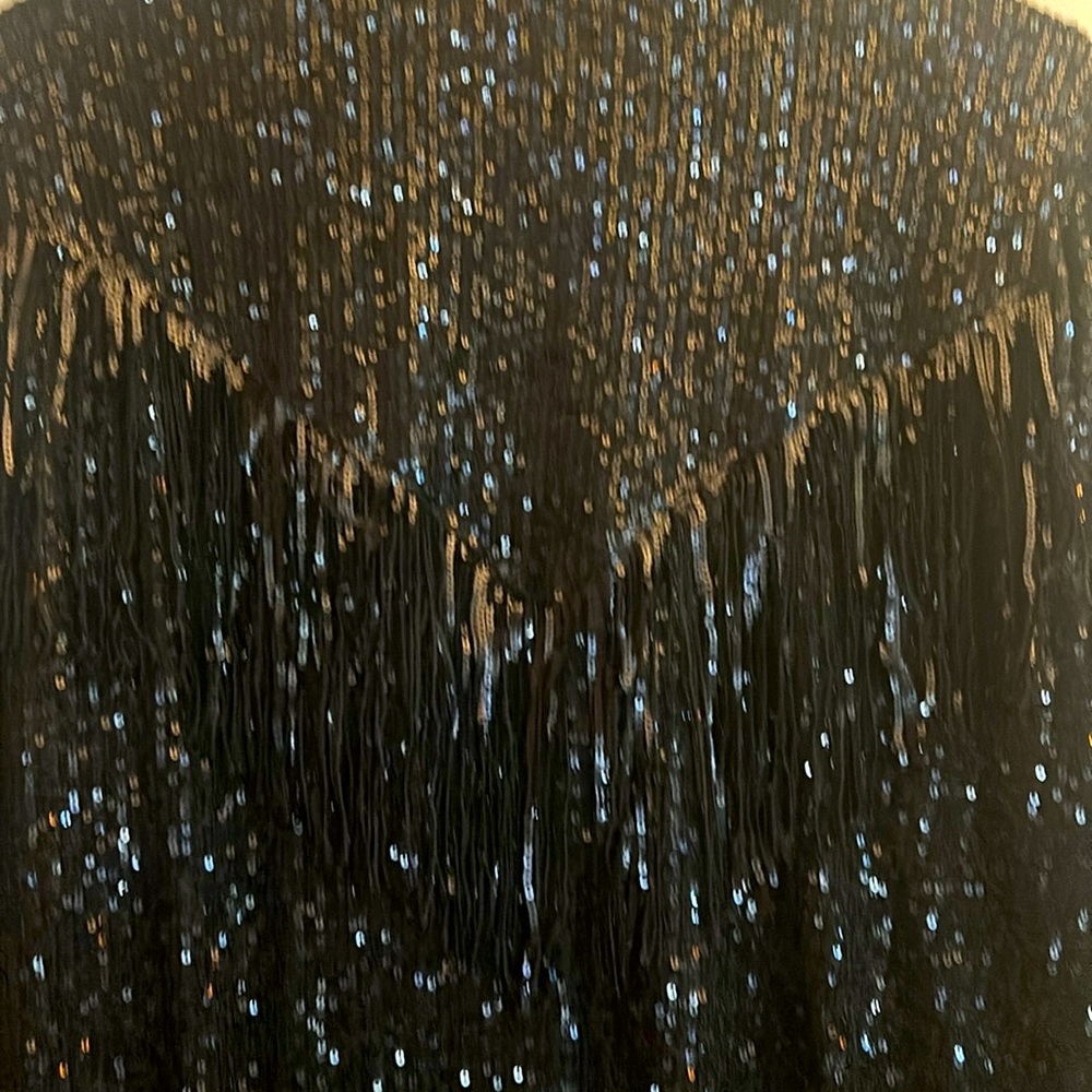 BUCKLE Blue B collection MEDIUM Sequin fringe western shirt.BELT SOLD SEPARATELY - Picture 6 of 14